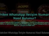 Dahibet-WhatsApp-Iletisim-Numarasi-Nasil-Bulunur-overlay-1784465713.jpg